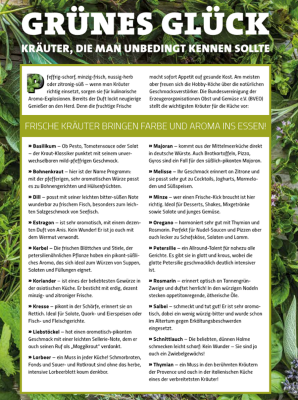 GRÜNES GLÜCK - 