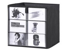 Faltbox >Foto< in Anthrazit aus Polypropylen -...