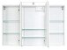 Spiegelschrank >Graphit< in Weiß - 100x64x20cm (BxHxT)