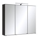 Spiegelschrank >Cleo I< in Graphitgrau - 100x64x20cm (BxHxT)