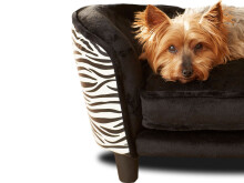 Tiersofa >Zebra< in Zebra aus Kunststoff -...