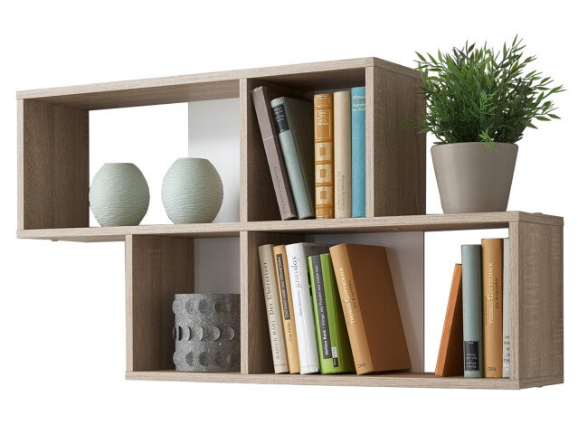 Wandregal >Kerstin I< in Eiche - 100x53x19,5cm (BxHxT)