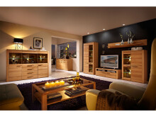 Couchtisch >Nature Plus< in Kernbuche - 120x40x70cm (BxHxT)
