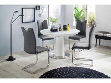 Esszimmerstuhl >Kerrin< (2-er Set) in grau aus Echtleder - 45x102x58cm (BxHxT)