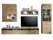 Wohnwand >Medina IV< in Asteiche aus Metall - 321x201x52cm (BxHxT)