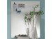 Wandspiegel >Suzette< aus Spiegelglas - 70x90x2cm (BxHxT)