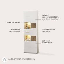 Vitrine >Kathlin< in Weiß matt aus Metall - 65x205x37cm (BxHxT)