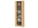 Aktenschrank >Olli< in Buche - 72x198x35cm (BxHxT)