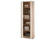 Aktenschrank >Olli< in Sonoma-Eiche - 72x198x35cm (BxHxT)