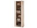Aktenschrank >Olli< in Sonoma-Eiche - 72x198x35cm (BxHxT)