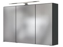 Spiegelschrank >Baabe I< in Graphit aus Glas - 100x66x20cm (BxHxT)