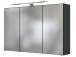 Spiegelschrank >Baabe I< in Graphit aus Glas - 100x66x20cm (BxHxT)