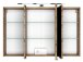 Spiegelschrank >Baabe I< in Wotan-Eiche aus Glas - 100x66x20cm (BxHxT)