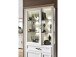 Vitrine >Jasmin< in Pinie-Hell aus Metall - 93x204x42cm (BxHxT)