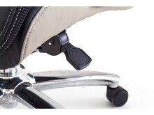 Chefsessel >Rayleigh< in Schwarz Beige aus Metall - 78x116x79cm (BxHxT)