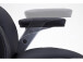 Chefsessel >Rayleigh< in Schwarz Beige aus Metall - 78x116x79cm (BxHxT)