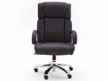 Chefsessel >Rayleigh< in Schwarz aus Metall - 74x118x83cm (BxHxT)