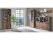 Vitrine >Celon< in Beton Dunkelgrau Old Wood Vintage - 91.7x204.9x41.6 (BxHxT)