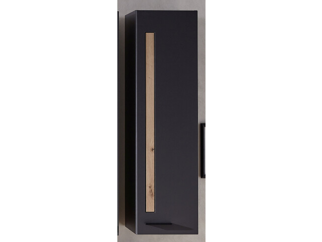 Hängeschrank >Lewes< in Graphit aus Kunststoff - 36x128x37cm (BxHxT)