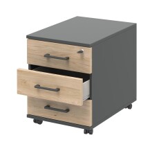 Rollcontainer in Hickory - 42,5x55x50cm (BxHxT)