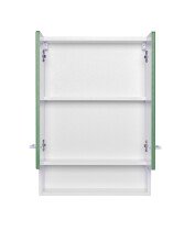 Hängeschrank >Riga< in Grün-Matt - 50x71x20cm (BxHxT)