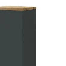 Midischrank >Pienza< in Grau-matt - 40x130x35cm (BxHxT)