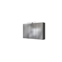 Spiegelschrank >Arezzo< in Graphit - 100x66x20cm (BxHxT)