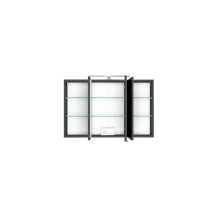 Spiegelschrank >Arezzo< in Graphit - 100x66x20cm (BxHxT)