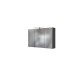 Spiegelschrank >Arezzo< in Graphit - 100x66x20cm (BxHxT)