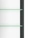 Spiegelschrank >Arezzo< in Graphit - 100x66x20cm (BxHxT)