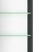 Spiegelschrank >Arezzo< in Graphit - 120x66x20cm (BxHxT)