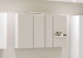 Spiegelschrank >Garda< in weiß - 100x66x20cm (BxHxT)