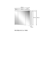Spiegelschrank >Porta< in Weiß - 80x54x20cm (BxHxT)