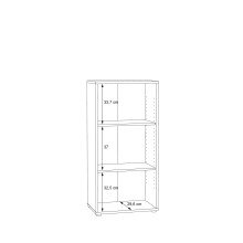 Regal >Tembi< in Old Wood Vintage - 54x111,1x34,8cm (BxHxT)