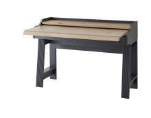 Sekretär >Jasmin< in Graphit - 120x84x53cm (BxHxT)