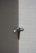 Kleiderschrank >Kalindi I< in Plankeneiche Graphit - 90x198x58cm (BxHxT)