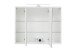 Spiegelschrank >Kopenhagen< in Weiß - 80x64x20cm (BxHxT)