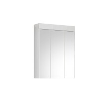 Spiegelschrank >Kolomea< in Weiß - 60x79x18cm (BxHxT)