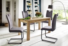 Esszimmerstuhl >Alden< (4-er Set) in Anthrazit aus Metall - 44x101x60cm (BxHxT)