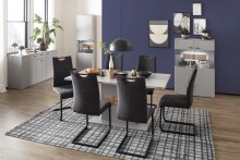 Esszimmerstuhl >Alden< (4-er Set) in Anthrazit aus Metall - 44x101x60cm (BxHxT)