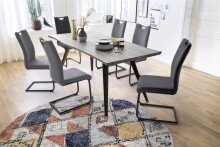 Esszimmerstuhl >Alden< (4-er Set) in Anthrazit aus Metall - 44x101x60cm (BxHxT)