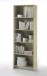 Regal >Freida< in  - 60x175x24cm (BxHxT)