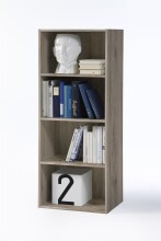 Regal >Kenosha< in Sonoma-Eiche - 42x106x29cm (BxHxT)