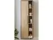 Hochschrank >Nebraska< in Matera Beton - 50x160x31cm (BxHxT)