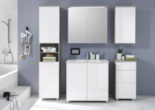 Spiegelschrank >Randolph< in Titan - 80x77x23cm (BxHxT)