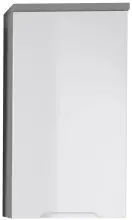 Hängeschrank >Randolph< in Titan - 40x77x23cm...