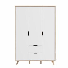 Drehtürenschrank >Vancouver< in Plankeneiche - 139,4x201,5x52,7cm (BxHxT)
