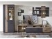 Vitrine >Lydias< in Flagstaff Oak Umbria - 80x202x38cm (BxHxT)