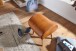 Sitzhocker in Braun - 45x40x53 (LxBxH)