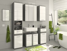 Badezimmer-Set >Blue Earth< in rauchsilber/weiß hochglanz - 60x191x34cm (BxHxT)